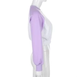 Pull Bicolore – Violet -Style Urbain Soldes H87cd76b71cb242eb91ac323381c5e175d