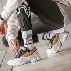 Chaussettes – Requin